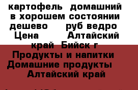 картофель  домашний  в хорошем состоянии, дешево: 50 руб/ведро › Цена ­ 50 - Алтайский край, Бийск г. Продукты и напитки » Домашние продукты   . Алтайский край